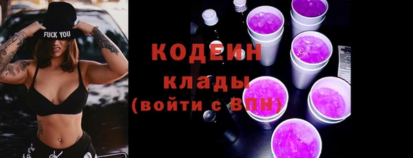 apvp Кодинск
