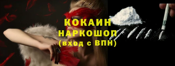 гидра Кинешма