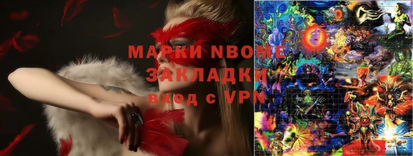 индика Касимов