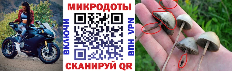 Галлюциногенные грибы Magic Shrooms  Рассказово 