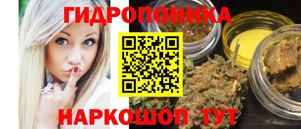 Конопля планчик Рассказово